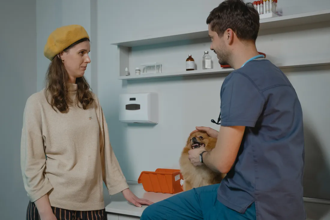 Vétérinaire : quelle responsabilité civile professionnelle choisir ? 1 Courtier Assurances et Financements Rennes Vétérinaire en consultation avec un propriétaire de chien, préjudice du maître en cas de dommage à l'animal