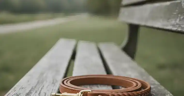 Assurance éducateur canin : la garde du chien vous incombe 1 Courtier Assurances et Financements Rennes Laisse en cuir enroulée sur un banc en bois dans un parc